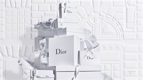 dior shoes review|dior official online store.